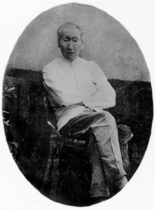 Herman Neubronner van der Tuuk